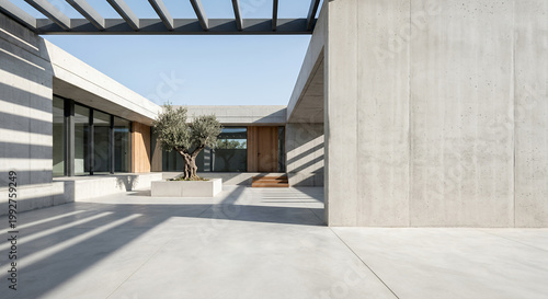 A modern concrete courtyard with an olive tree in the center, featuring clean lines and geometric shapes, bathed in sunlight that casts long shadows across the ground.