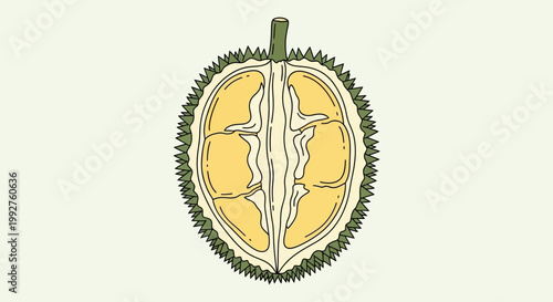 Durian fruit cut in half revealing yellow flesh and seeds.