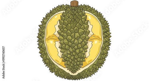 Durian fruit cut open revealing creamy yellow flesh and large seeds.