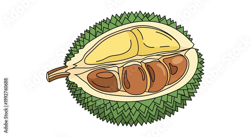 Durian fruit cut open revealing its creamy yellow flesh and seeds.