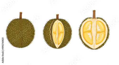 Durian fruit whole and cut in half showing yellow flesh.