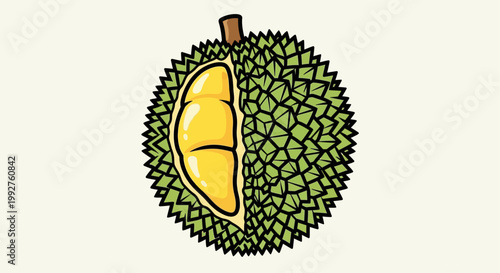 Durian fruit with one segment open revealing yellow flesh.