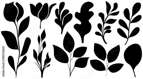 Collection of organic black silhouettes of various leaves and floral petals featuring botanical shapes and natural forms on a clean white background ideal for decorative design