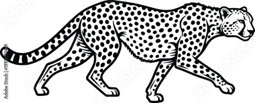Cheetah Walking Side View Hand Drawn Vector Line Art Black and White Illustration