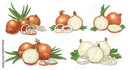 Set of whole and sliced brown and white onions with green sprouts and herbs arranged on a white background for cooking.