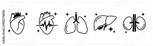 A set of 5 mix icons as heart, lungs, liver