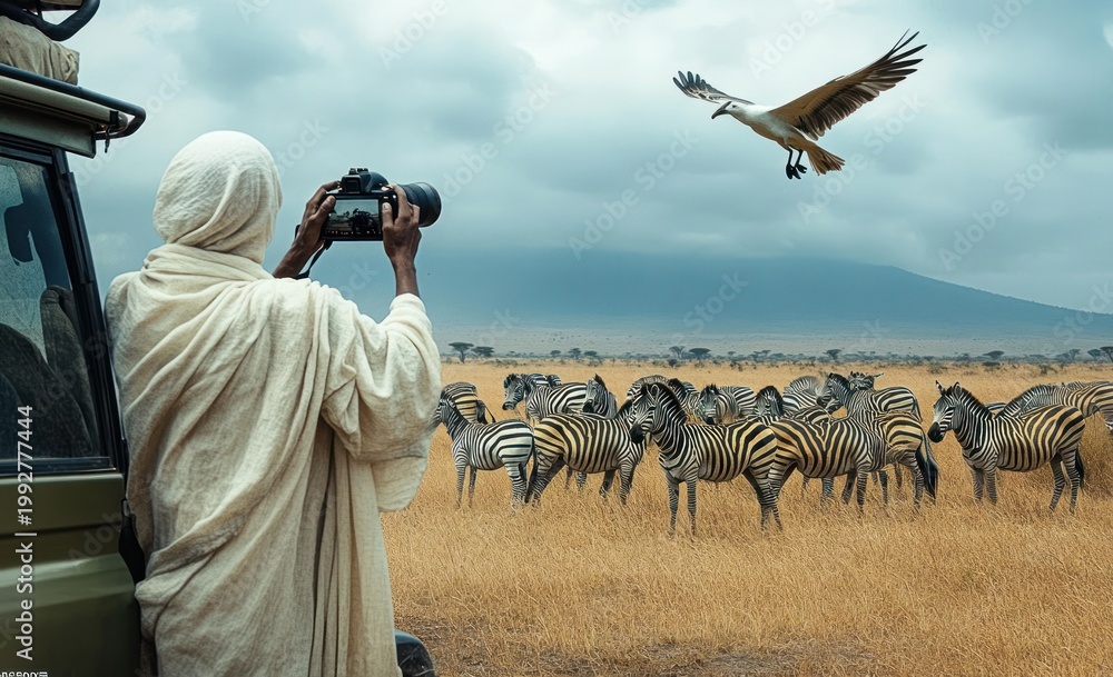 Obraz premium person in light robe photographing a herd of zebras on a golden savanna from a safari vehicle as a large bird soars overhead under cloudy skies, evoking wonder and calm