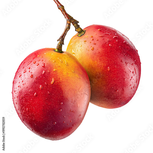 Two red and yellow apples with water droplets isolated on transparent background