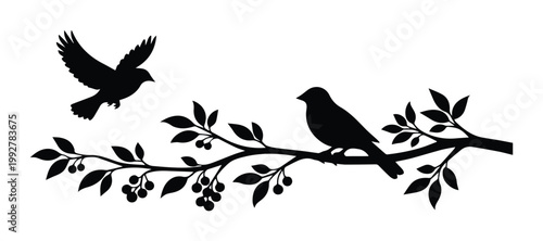 Foto Black bird silhouette on tree branch with leaves and berries, flying songbird an