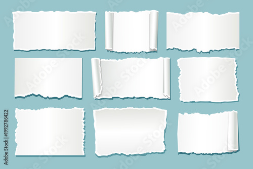 Torn Paper Frame Collection with Realistic Shadow on Blue Background