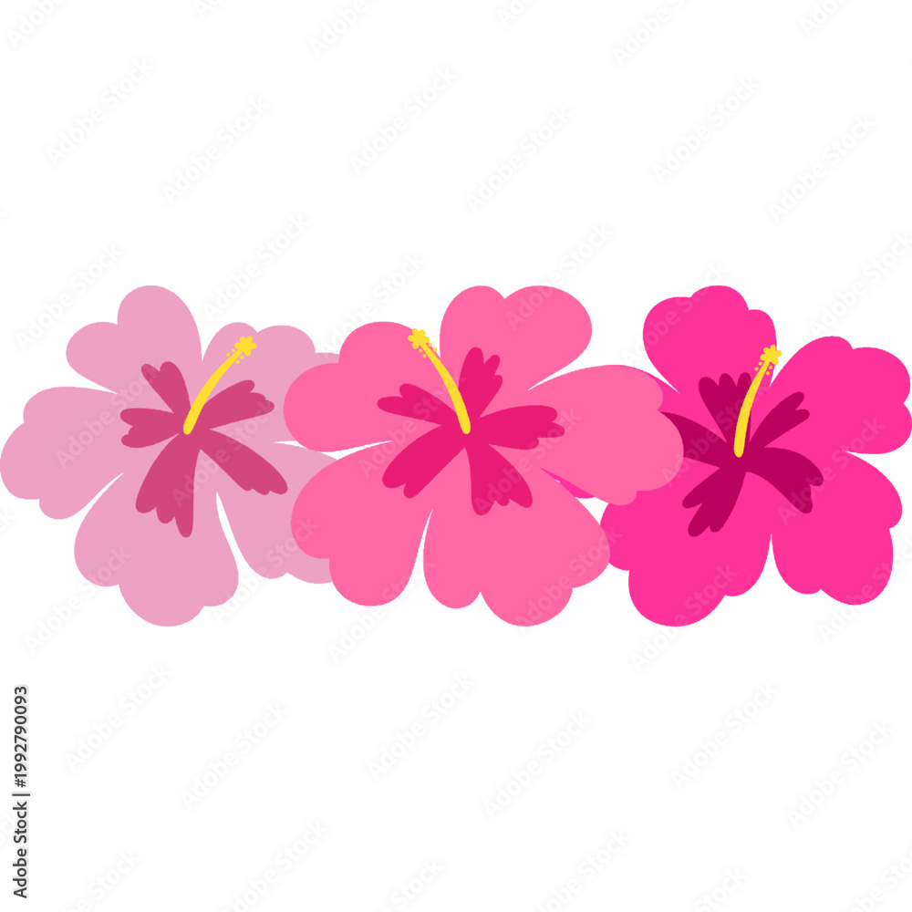 Obraz premium Pink Hibiscus Flower Row Border Tropical Bloom, Hawaiian Aloha Lei Garland Decoration, Floral Decoration Summer Design