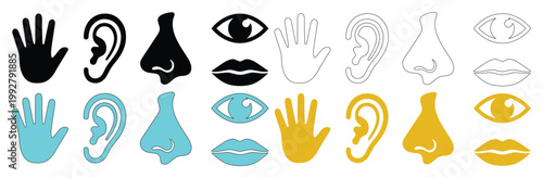 五感のアイコンセット、視覚、聴覚、嗅覚、味覚、触覚を表現した人体パーツのベクターイラストコレクション、教育や医療、健康関連のプロジェクトに最適なデザイン素材
