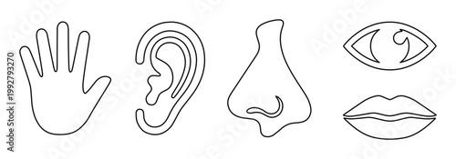 五感のシンプル線画アイコンセット、手、耳、鼻、目、口のモノクロベクターイラスト、教育や医療デザインに最適な人体パーツコレクション