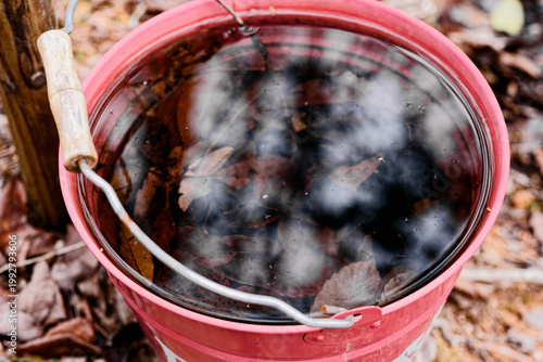 落ち葉の溜まったバケツに張られた水