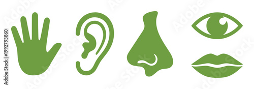 五感のアイコンセット、触覚、聴覚、嗅覚、視覚、味覚を表す緑色のシンプルなベクターイラスト、教育や医療関連のウェブサイト、アプリデザインに最適