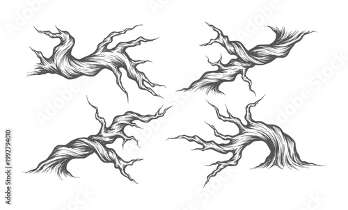 Four gnarled dark grey twisted tree branches white
