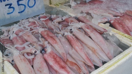 Fresh squid arranged on ice with Thai language label indicating calamari at street market counter. Coastal seafood selling concept