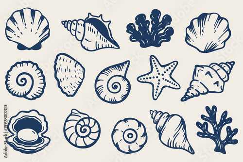 Hand drawn seashell collection in trendy navy outline doodle style. Minimal marine line art set with shells, starfish and coral. Clean coastal aesthetic perfect for patterns, packaging, branding and s