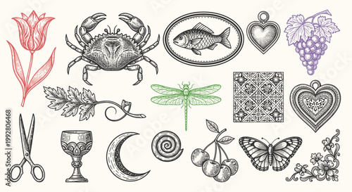 Vintage Botanical Themed Collection with Crabs, Dragonfly, Heart Shapes and Grapes