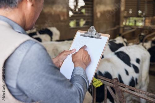 Farmer inspecting dairy cattle with clipboard in barn