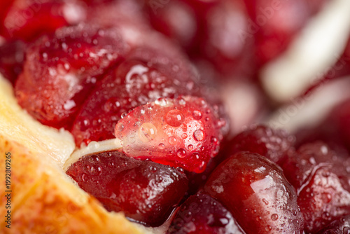 Obraz na plátne Fresh pomegranate arils with water droplets macro close-up