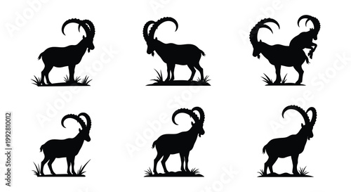 Silhouette depictions of ibex with curved horns in varying poses