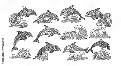 Intricate drawings of dolphins leaping through stylized ocean waves