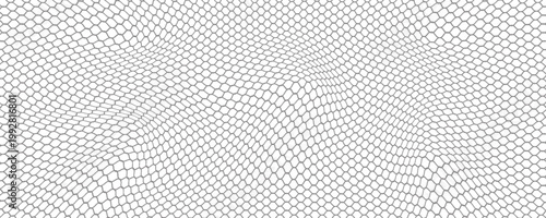 Fishing or soccer net. Repeated hexagon pattern. Black wired mesh texture isolated on white background.