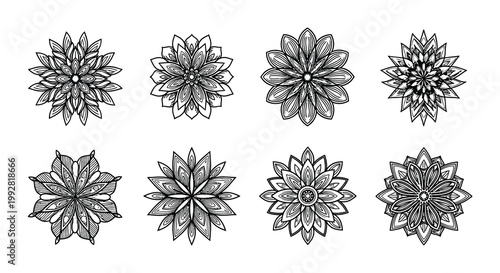 Eight hand drawn floral designs arranged in a grid pattern on white