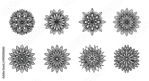 Eight hand drawn floral designs arranged in a grid pattern on white