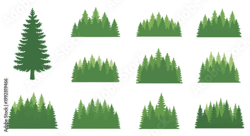 Collection of Evergreen Trees and Forest Clusters, Nature Landscape Elements