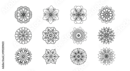 Collection of delicate hand drawn floral sketches in black and white