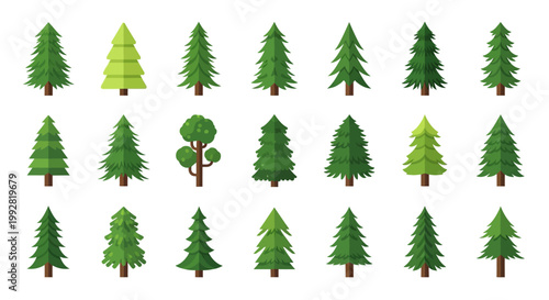 Collection of diverse green pine trees, coniferous forest elements, nature illustration