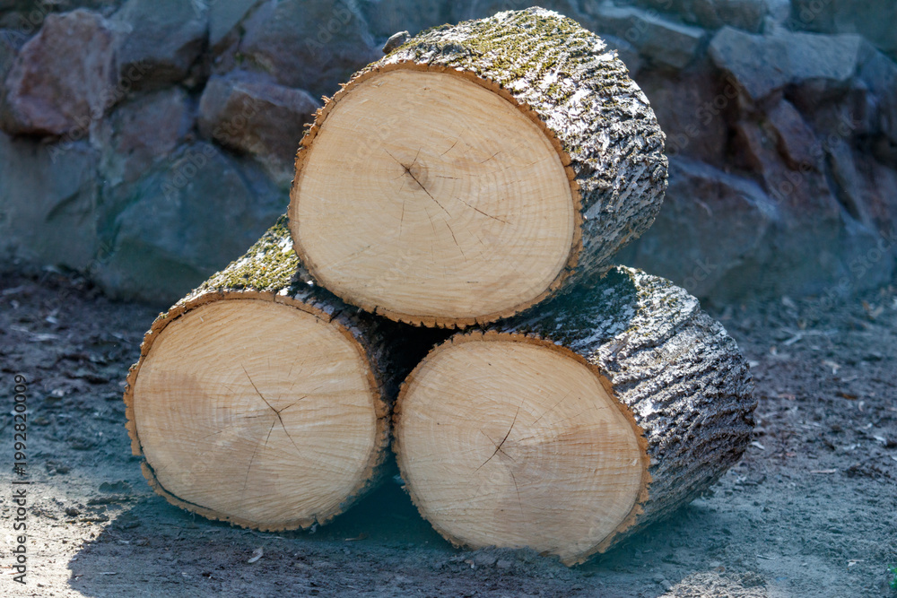 Fototapeta premium Stacked firewood logs with visible growth rings and bark