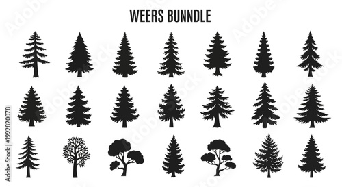 Diverse Evergreen Trees Silhouette Collection - Pine, Fir, Spruce Forest Icons