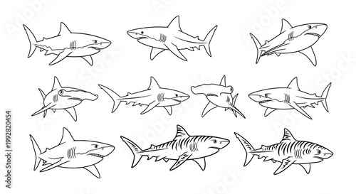A collection of diverse shark illustrations in a simple line art style