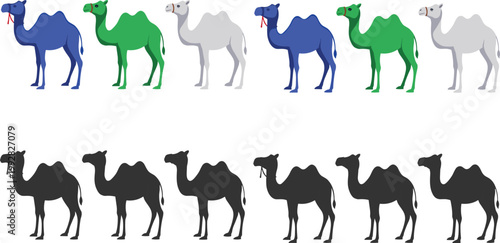 Photography Camel animal collection with different colors and silhouettes, desert wildlife i