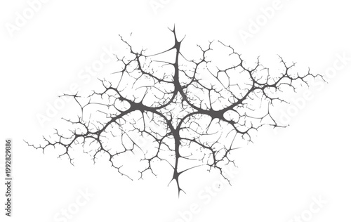 Tablou pe pânză Dark grey intricate branching fractal pattern white black