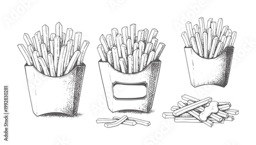 Hand drawn french fries in paper containers and scattered white food potato snack