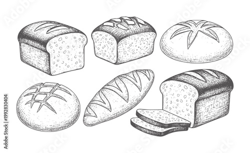 Hand drawn of assorted bread loaves and slices loaf baked food