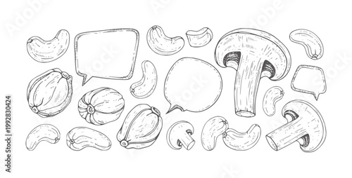 Hand drawn of cashews mushrooms and speech bubbles white