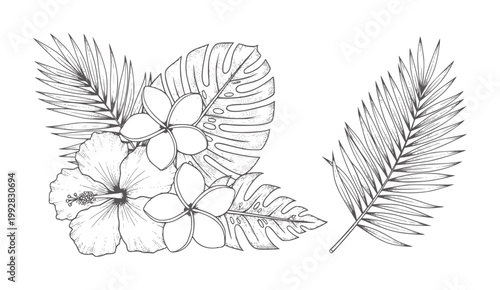 Hand drawn tropical flowers and palm leaves hibiscus