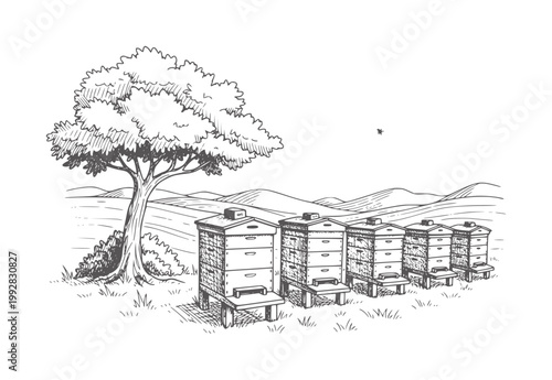 Row of beehives under a tree with rolling hills and a bee nature rural landscape