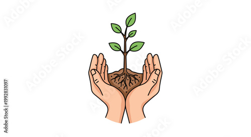 Two cupped hands tenderly cradle a small green seedling with exposed roots and a mound of brown soil depicted as a clean outlined illustration on a pristine white background.