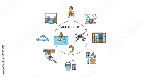 Illustrated health poster shows the mosquito lifecycle for World Malaria Day malaria awareness, detailing prevention campaign strategies with water drainage, nets, and indoor spraying