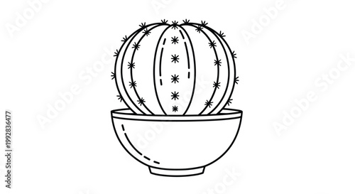 Clean black and white line art of a globular cactus planted in a simple bowl with numerous clearly defined spines.