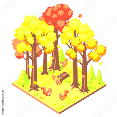 Isometric autumn forest scene with cute squirrels playing among colorful trees and falling leaves, flat vector illustration