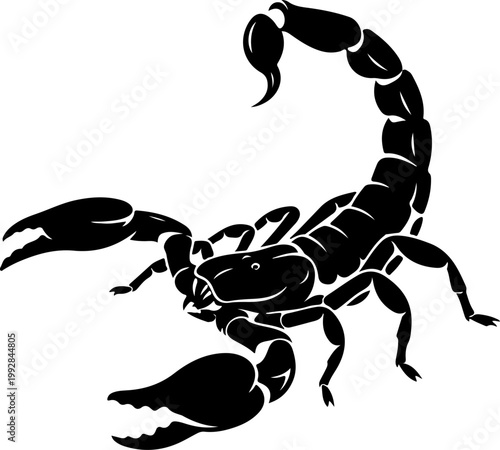 Scorpion silhouette vector illustration