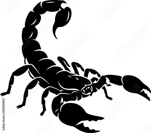 Scorpion silhouette vector illustration