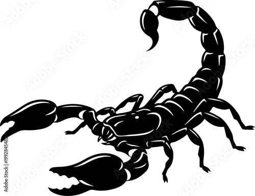 Scorpion silhouette vector illustration
